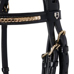 product/e/q/equestro_et01010-black_black_5.jpg