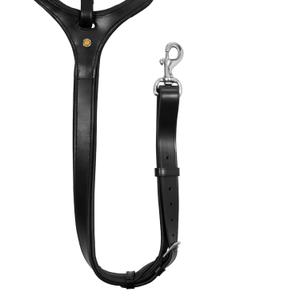 product/e/q/equestro_eth02006-black_black_5.jpg
