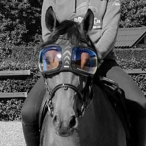 evylenstrasp-verres-de-rechange-lunettes-cheval-equick-evysor-transparent-tu