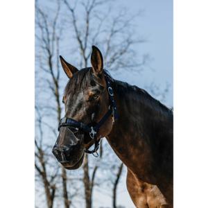 306036203-protege-naseaux-pour-cheval-equitheme-anti-uv-noir