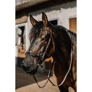 product/e/q/equitheme_306036201_noir_2.jpg