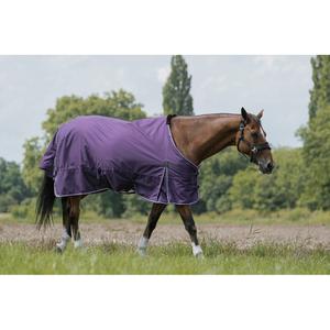 product/e/q/equitheme_400562159_prune_3.jpg