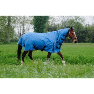 product/e/q/equitheme_400944466_bleu-roi_2.jpg