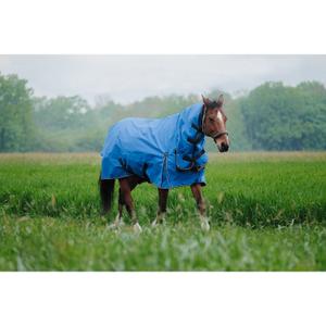 product/e/q/equitheme_400944466_bleu-roi_3.jpg