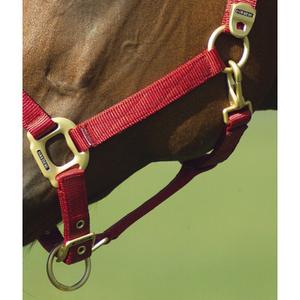 product/e/q/equitheme_510099003_5.jpg