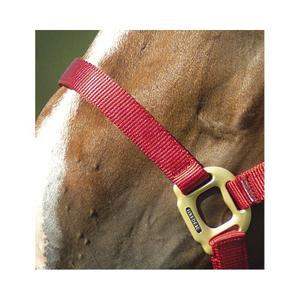 product/e/q/equitheme_510099003_6.jpg