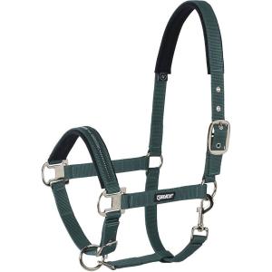 410000-816-590-licol-pour-cheval-eskadron-pin-buckle-racinggreen
