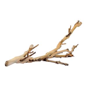 33-pt3076-kit-de-decoration-pied-de-vigne-sable-exo-terra-beige