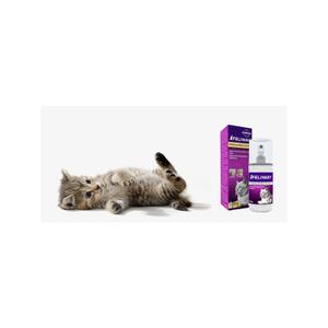 8132623-spray-pour-chat-feliway-f3-blanc-60-ml