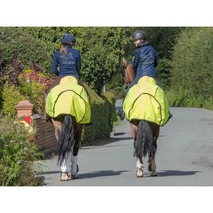 product/f/i/finer-equine_fe005_2.jpg