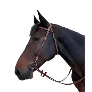 171101-marron-bridons-equitation-pour-cheval-flags-cup-freedom-marron