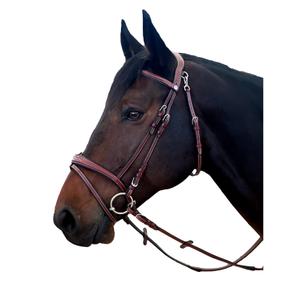 171135-marron-bridons-equitation-pour-cheval-flags-cup-new-york-marron