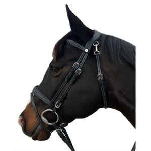 171135-noir-bridons-equitation-pour-cheval-flags-cup-new-york-noir