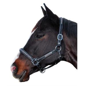 179528-noir-licol-pour-cheval-flags-cup-aachen-noir