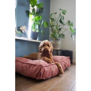 product/f/l/flamingo_522821_saumon_5.jpg