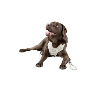 product/f/l/flamingo_523775_beige_4.jpg