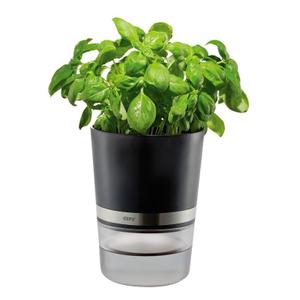 18920-pot-dherbes-aromatiques-gefu-botanico-noir-14-6x14-5-cm