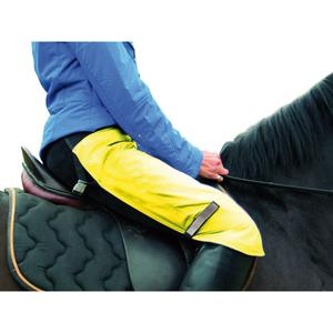 product/h/a/harry-s-horse_26000602-09_0.jpg
