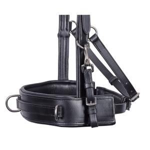 product/h/a/harry-s-horse_28008126-05_2.jpg