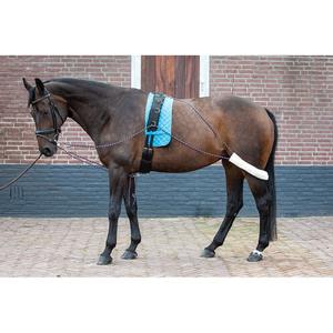 product/h/a/harry-s-horse_28400070_1_2.jpg