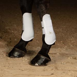 product/h/a/harry-s-horse_33200002-04_1.jpg