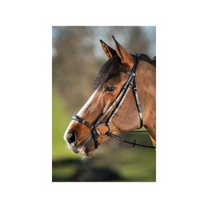 hfi005bk-bridons-equitation-hfi-german-black