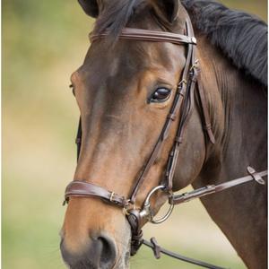 hfi005br-bridons-equitation-hfi-german-brown