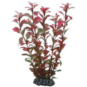 ho41520-accessoire-pour-aquarium-hobby-ludwigia-rouge