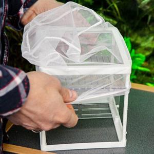 product/h/o/hobby_ho61383_transparent_5.jpg