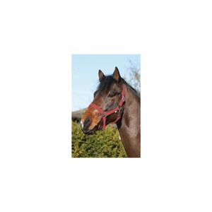 41211004-licol-pour-cheval-en-nylon-horseguard-red