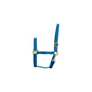 product/h/o/horseguard_41211066_petrol_1.jpg