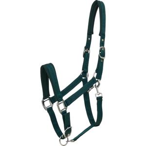 50439500117-licol-pour-cheval-horseguard-diya-2-0-ponderosa-pine