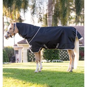 aarql5-kji0-45-couverture-d-exterieur-pour-poney-avec-couvre-cou-horseware-amigo-1200d-250g-black-titanium-grey-silver