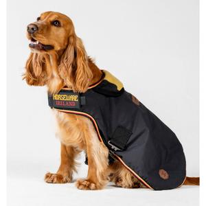 rrhw10-vrk0-ys-manteau-pour-chien-horseware-newmarket-witney-gold
