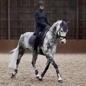 product/h/o/horze_22923blpu_4.jpg