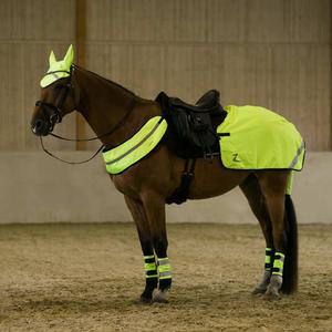 29012-150-harnais-reflechissant-pour-cheval-horze-aurora-yellow