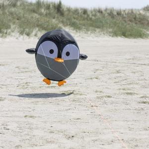 hqbbp-girouette-pingouin-hq-kites-birdeez-multicolore-60-cm