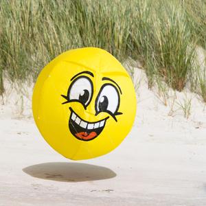 product/h/q/hq-kites_hqbmh_jaune-noir_2.jpg