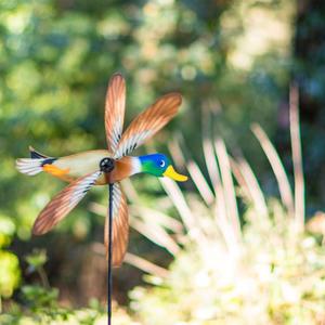 product/h/q/hq-kites_hqpsd_multicolore_2.jpg
