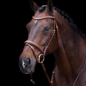1201093500-8000-bridon-equitation-muserolle-combinee-hv-polo-legacy-brown