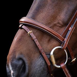 product/h/v/hv-polo_1201093500-8000_brown_2.jpg