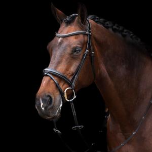 1201093500-9000-bridon-equitation-muserolle-combinee-hv-polo-legacy-black