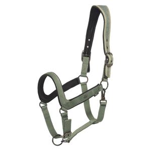 1601093650-6129-licol-pour-cheval-hv-polo-essential-greenery