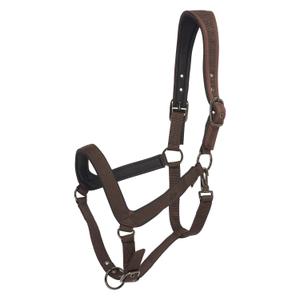 1601093650-8095-licol-pour-cheval-hv-polo-essential-straw