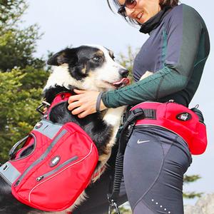 product/i/-/i-dog_i10r_4.jpg