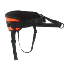 product/i/-/i-dog_i12lo_orange-noir_1.jpg
