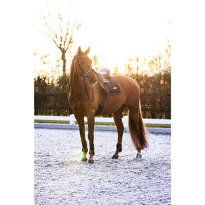 product/i/m/imperial-riding_be70322000-5001_navy_2.jpg