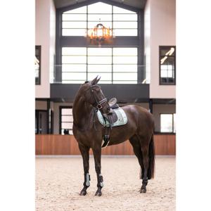 product/i/m/imperial-riding_be70322000-6036_sage-green_2.jpg
