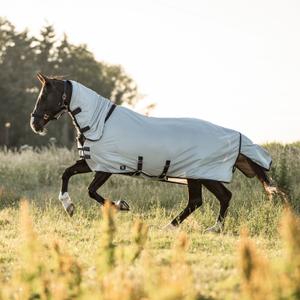 product/i/m/imperial-riding_de20123004-7036_silvergrey_2.jpg