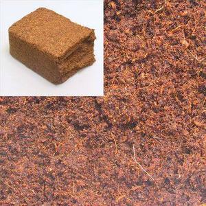 product/j/b/jbl-aqua_jb206_marron_4.jpg